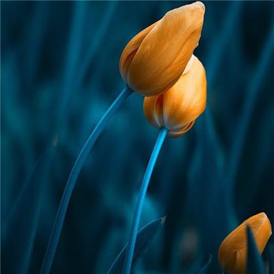 澳门威斯尼斯WNS888入口